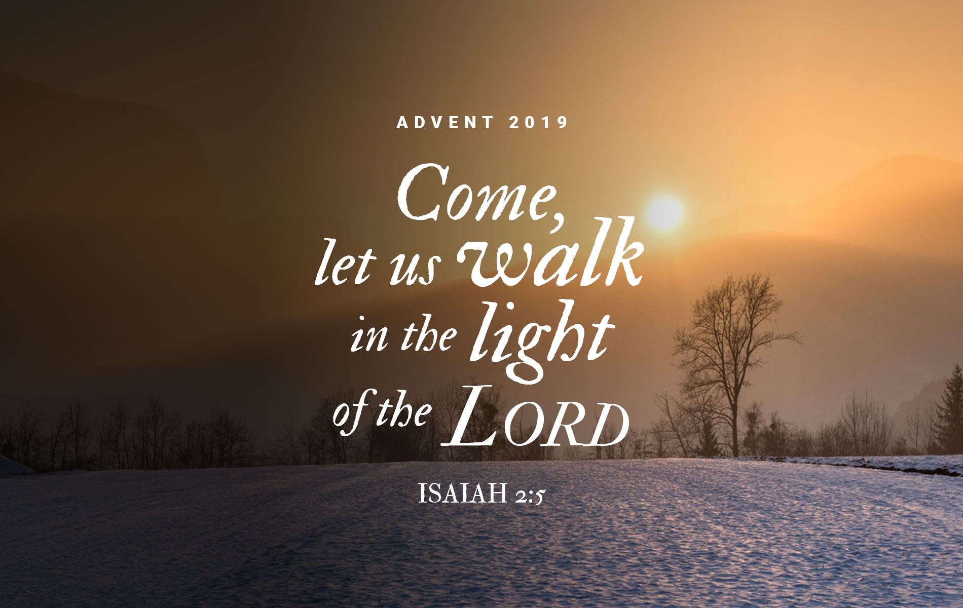 This Sunday | December 8, 2019 - Good Shepherd Lutheran Church