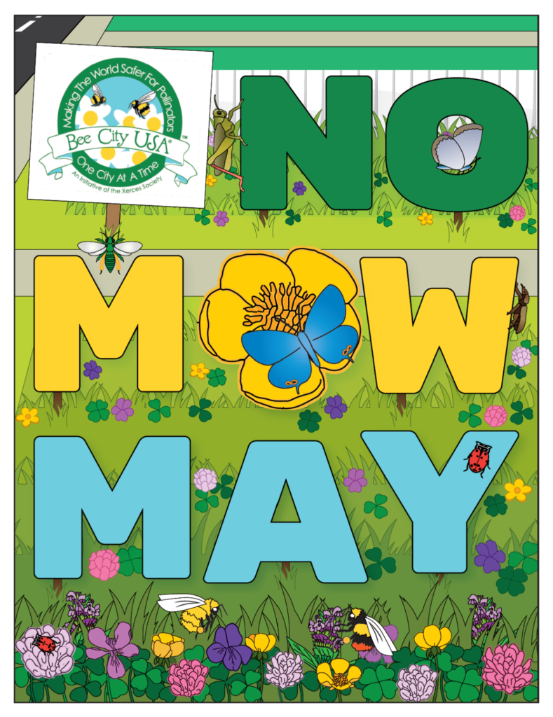 no mow may